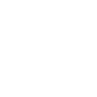 Twin10G SFP+ Thunderbolt Adapter front panel icon.